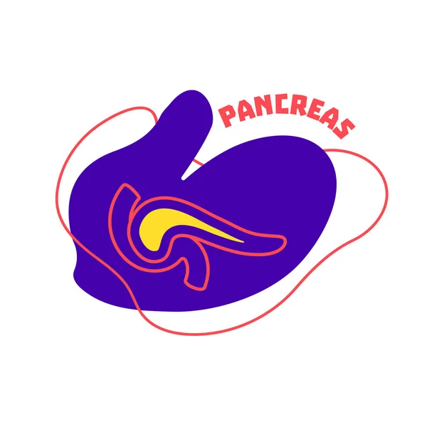 Schéma Pancréas Système Endocrinien Digestif Icône Contour Organe Corps Sur — Image vectorielle