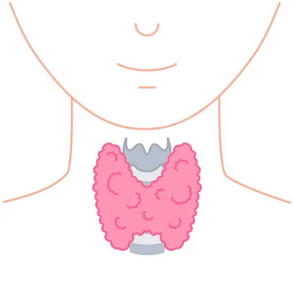 甲状腺はアイコンをロビーに表示します 顔のないボディシルエット 甲状腺ホルモン機能サポート 甲状腺機能亢進症および甲状腺機能低下症の病気 代謝制御 人体解剖図 ベクターイラスト — ストックベクタ