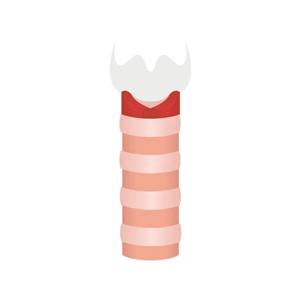 Icona Della Trachea Umana Anatomia Funzione Del Tubo Tracheale Tracheite — Vettoriale Stock