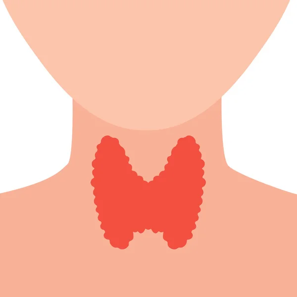 Tiroit Bezi Lobu Ikonu Yüzü Olmayan Vücut Silueti Tiroid Hormonları — Stok Vektör
