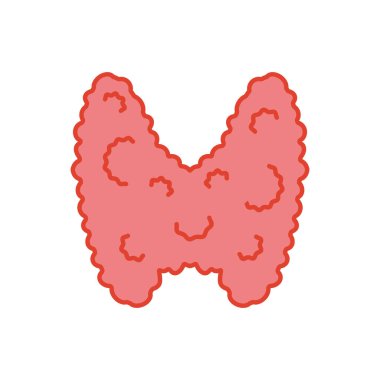 Tiroit bezi lobu ikonu. Tiroid hormonları fonksiyon testi. Endokrin sistemi. Hipertiroidizm ve hipotiroidizm hastalıkları. Anatomi diyagramı. İzole edilmiş doğrusal vektör çizimi.