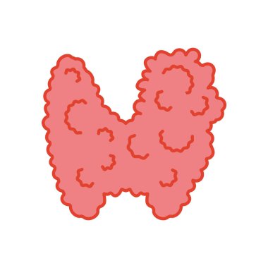 Tiroid bezi büyütme ikonu. Tiroid hormonları dengesizlik gösterir. Endokrin sistem hastalığı. Hipertiroidizm ve hipotiroidizm. Tamam ve az aktif bir organ. İzole edilmiş doğrusal vektör çizimi.