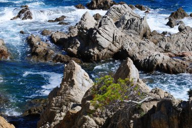 İspanya 'daki dağlarda yolculuk