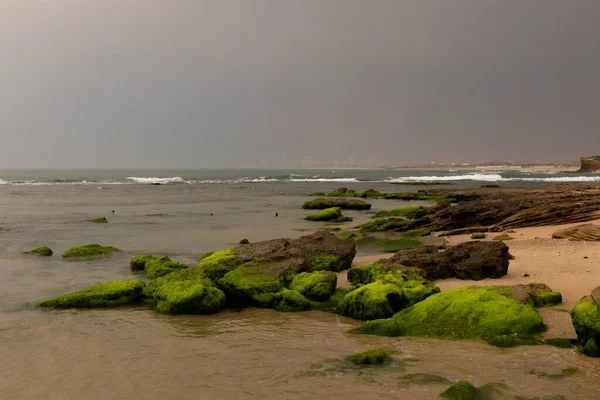 stock image Wild beach of Palmachim. Stones.