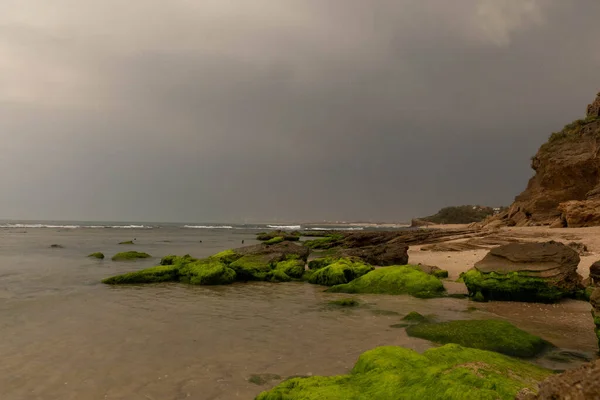 stock image Wild beach of Palmachim. Stones.