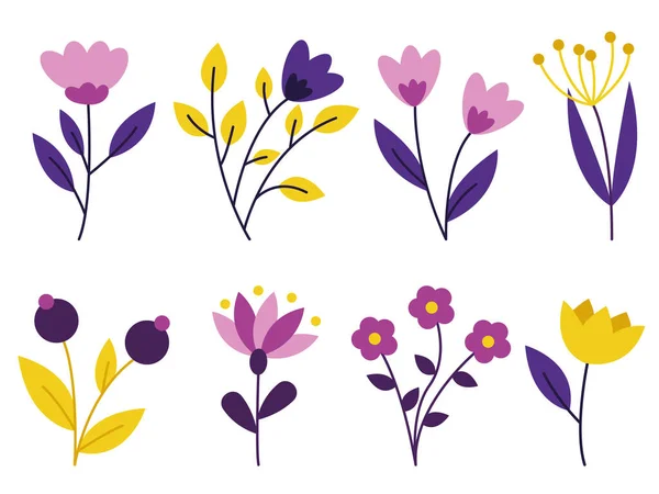 Botanische Reihe Von Gartenblumenpflanzen Vektorillustration Set Von Floralen Elementen Vektorkompositionen — Stockvektor