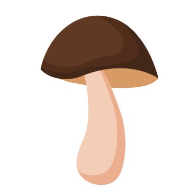 Vektör çizimi, beyaz arka planda izole edilmiş beyaz mantar. Porcini. Vejetaryen mantarları. Sağlıklı bir diyet için doğanın en büyüğü..