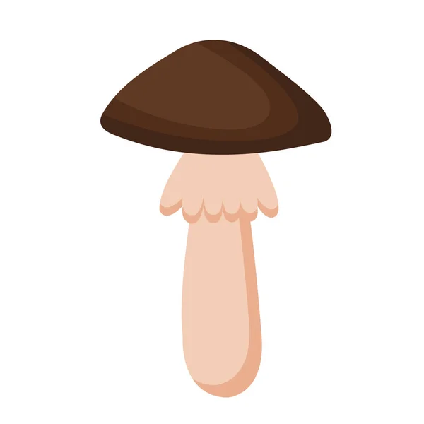Vector Illustration White Mushroom Isolated White Background Porcini Vegetarian Mushrooms — Stock Vector