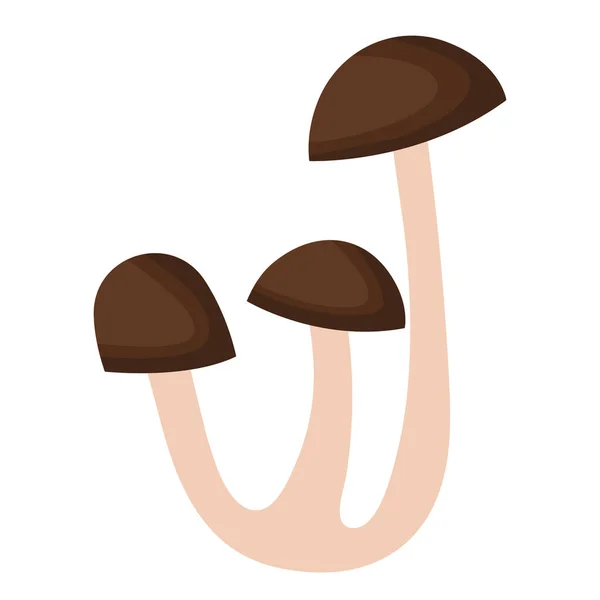 病媒图例 白色蘑菇在白色背景上被隔离 Porcini 素食蘑菇 大自然的达纳健康饮食 — 图库矢量图片