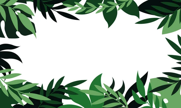 Letní Tropické Listí Rám Tropické Palmy Listy Pozadí Tapety Tropické Stock Vektory