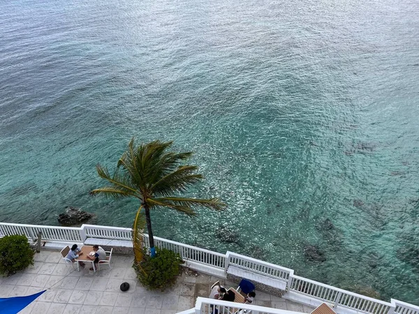 Vackert Hav Med Utsikt Över Ett Palmträd — Stockfoto