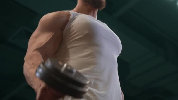 Erős Ember Gyakorolja Súlyzók Bicepsz Felváltva Videó Egy Fiatalemberrel Fizikummal — Stock videók