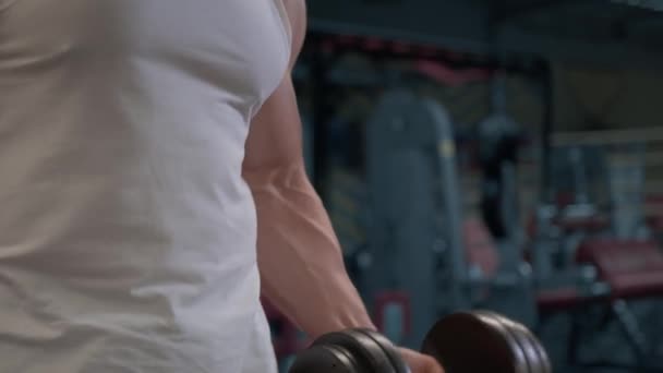 Güçlü Adam Pazılar Için Sırayla Halterlerle Egzersiz Yapıyor Spor Salonunun — Stok video