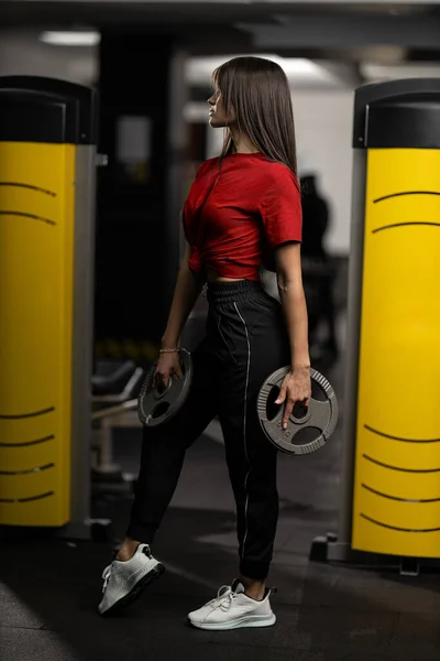 Attractive brunette athletic girl in red T-shirt and black sweatpants posing with weights in her hands in the gym. Healthy lifestyle concept, sexy female body and sports fashion