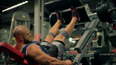 Kel sporcu sakalı, iyi donanımlı spor salonunda ağırlık makinesi kullanarak bacak egzersizleri yapar. Öğlen egzersizi sırasında odaklanmış ve kararlı görünüyor..