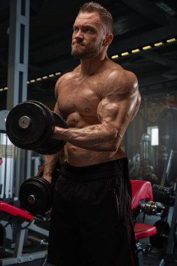 Atletik adam iyi donanımlı spor salonunda dambıl çalıştırır. Güç antrenmanına odaklanırken etkileyici kas tanımı sergiliyor..