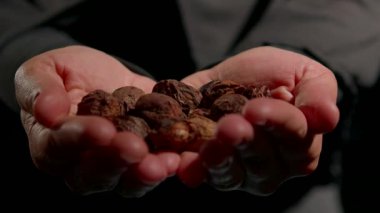 Başörtüsü takan kadın elinde çeşitli fındıklar tutuyor ve doğal dokularını ve renklerini gösteriyor. Yumuşak akşam ışığı iç mekanda sakinleştirici bir atmosfer yaratır..