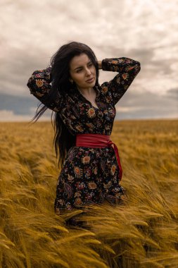 Güzel esmer kadın uzun altın buğdayın ortasında duruyor, uzun saçlarının arasında neşeli bir şekilde ellerini koşuyor bulutlu gökyüzü sakin sahneye dramatik bir zemin ekliyor, güzellikleri gözler önüne seriyor.