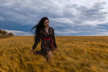 Güzel esmer kadın zarif bir şekilde altın buğday tarlasında geziniyor yumuşak rüzgar saçlarıyla oynuyor ve alacakaranlıkta çevresini saran huzurlu manzaranın tadını çıkarıyor.