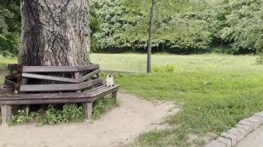 Ulusal Dendroloji Parkı Sofiyivka Ukrayna Uman şehri Kyivska St. 12a, Cherkasy Bölgesi 21.06.2025