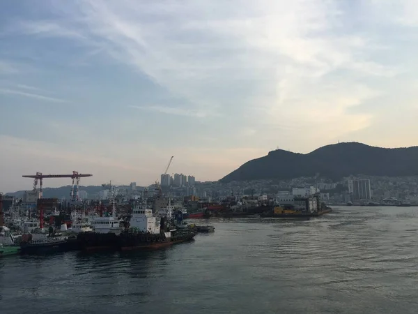 Vacker Utsikt Över Hamnen Busan Sydkorea — Stockfoto