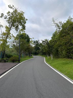 Yanghu Wetland Parkı 'ndaki asfalt yolda.