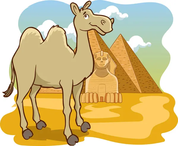 Camelo Nas Pirâmides — Vetor de Stock