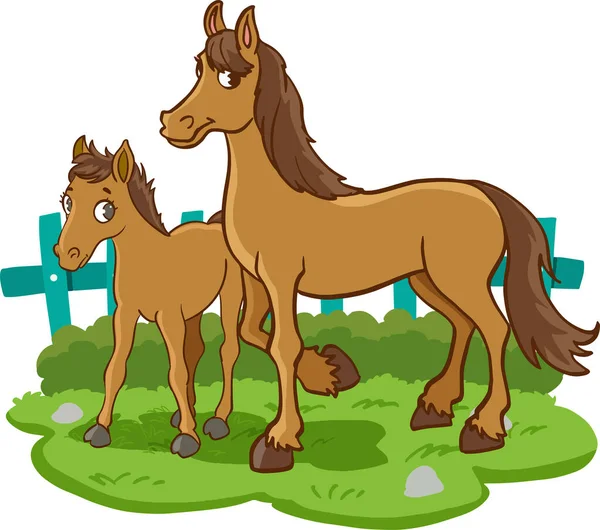 Zwei Kleine Pferde Auf Der Weide Illustration — Stockvektor