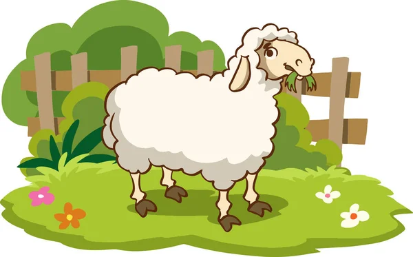 Cute Cartoon Sheep Farm Animals Vector Illustration — Stock Vector