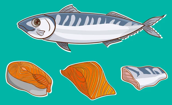Farklı Kesimlerde Somon Balığı — Stok Vektör