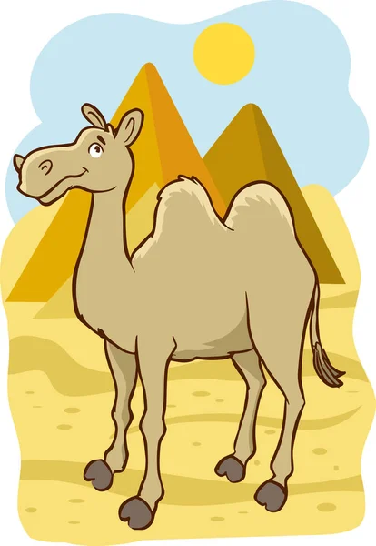 Camelo Com Ilustração Deserto Vetor Sobre Fundo Branco — Vetor de Stock