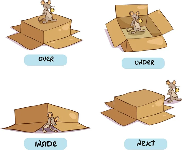 Vector Illustration Mouse Box Preposition Place Movement — Stock Vector
