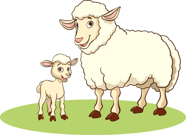 Vector Illustration Mother Sheep Baby Sheep — Stock Vector