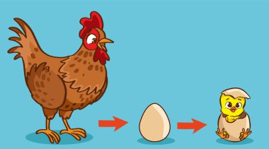 Yumurtanın tavuğa dönüşmesinin vektör çizimi