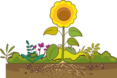 Parlak güneşli bir günde çiçeklerle büyüyen manzara