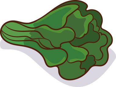 Beyaz arka plan üzerinde izole ıspanak