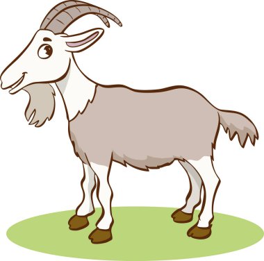 şirin çizgi film keçi vektör illüstrasyonu