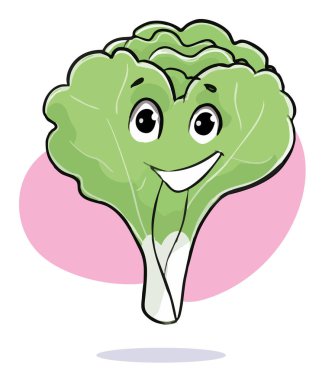 Sebze ve meyve karakterlerinin vektör çizimi. Marul çizimi.