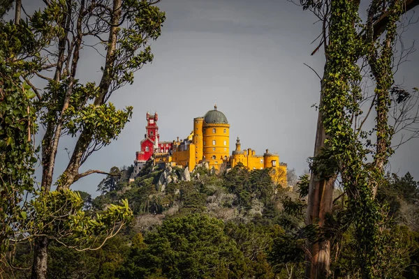 Romantizm yanlısı bir park ve Pena, Sintra, Portekiz 'in ulusal sarayı.