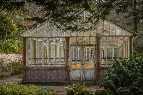 An old greenhouse, hot house, in the Pena natural park, Sintra, fairy tale green forest jungle