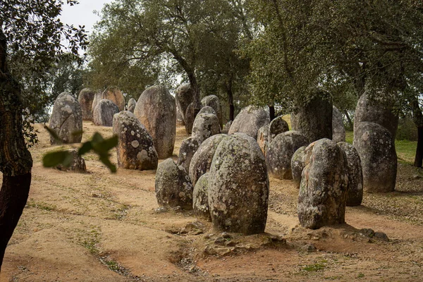 Megalitik bölge Almendres Cromlech, Portekiz 'de bir çember içinde antik taşlar.