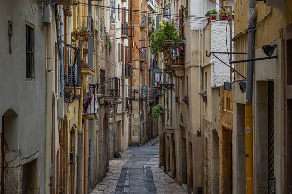 Tarragona, İspanya 'da balkonlarda bitkilerle dolu tarihi bir cadde.