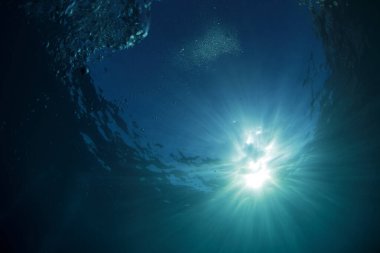 Güneş ışınları gün batımında deniz tabanını deliyor kabarcıklar yüzeye çıkarken.
