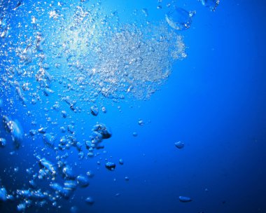 Dalgıç tarafından oluşturulan kabarcıklar su altında yüzeye yükselir..