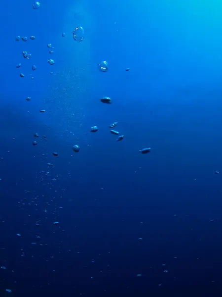 Arkalarında mavi deniz olan okyanus tabanına saçılmış kabarcıklar.