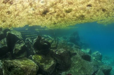 Deniz akıntısı, kıyı merdivenlerinden yükselecek olan yosunları kendine çekiyor gibi görünüyor..