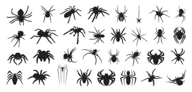 Örümceğin silueti izole edilmiş vektör çizimi