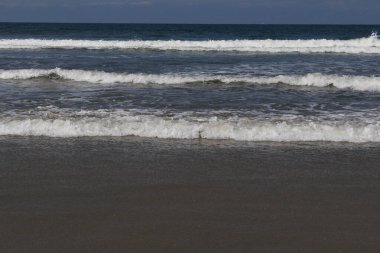 Brasao Polisi Parana da casa do bombeiros