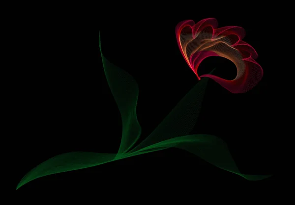 Ілюстрація Тюльпана Чорному Тлі Дизайну Інтер Єру — стокове фото