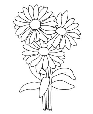 Beyaz arka planda papatya çiçeğinin ana hatları. vektör çizici